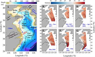 Comparing Subsurface Seasonal Deoxygenation and Acidification in the Yellow Sea and Northern East China Sea Along the North-to-South Latitude Gradient